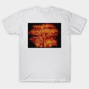 lone tree ablaze and consumed by fire T-Shirt